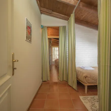 Vandrerhjem Mosaic Tirana